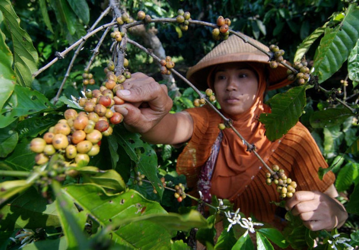 Yuk, Berwisata Sambil Menikmati Sedapnya