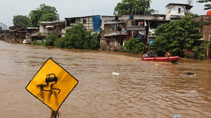 Ratusan Hektare Sawah Gagal Panen Karena Diselimuti Banjir