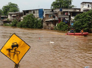 Ratusan Hektare Sawah Gagal Panen Karena Diselimuti Banjir