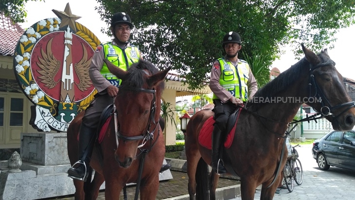 Unik, Polisi Jogja Patroli Keamanan Naik Kuda Impor