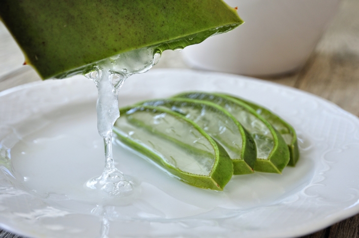 Peetumbuhan kumis dapat meningkat dengan lidah buaya. (Foto: pixabay/Rosina-Sch)