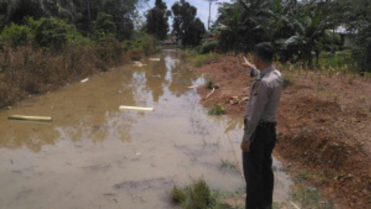Serem, Ribuan Binatang Aneh Muncul di Permukaan Sungai Soga
