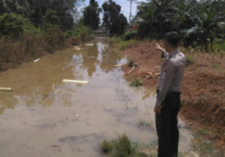 Serem, Ribuan Binatang Aneh Muncul di Permukaan Sungai Soga