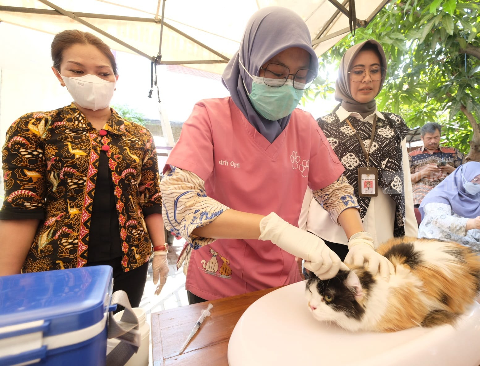 Cegah Rabies, Pemkot Solo Sediakan 1.100 Kuota Vaksin Gratis