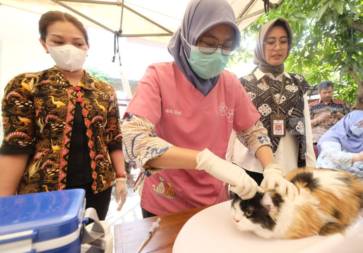 Cegah Rabies, Pemkot Solo Sediakan 1.100 Kuota Vaksin Gratis