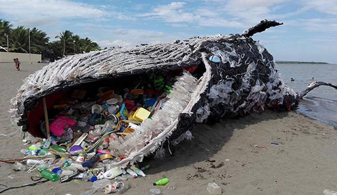 Plastik Tertelan Paus