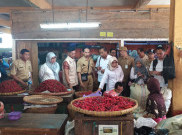 Harga Telur dan Cabe di Kota Yogyakarta Meroket di Akhir Tahun