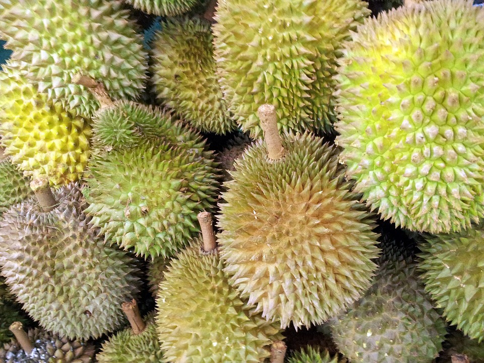 Buah durian ternyata tidak mempengaruhi kolesterol seseorang (Sumber: Pixabay/PublicDomainPictures)