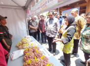 Lumbung Padi Jateng Aman, 92.000 Hektare Siap Panen Sampai Akhir Tahun