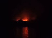 BTNK Pastikan Komodo Aman dari Kebakaran Pulau Rinca