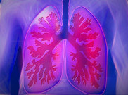 Tips Jaga Kesehatan Paru-paru bagi Perokok Aktif