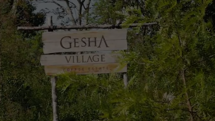 Gesha Village