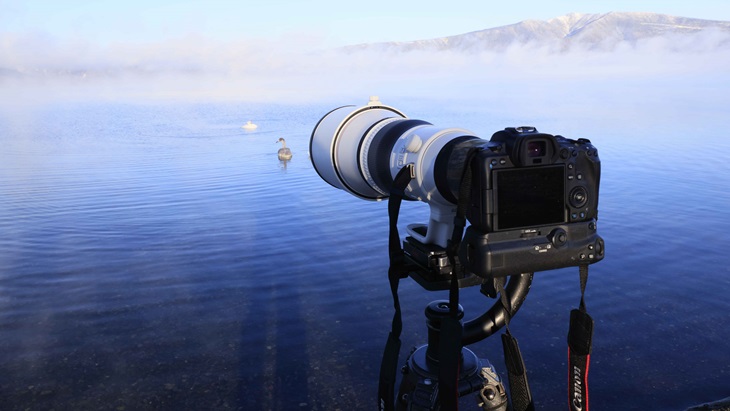 Dua Lensa Tele Canon Ini Hanya untuk Fotografer Sejati