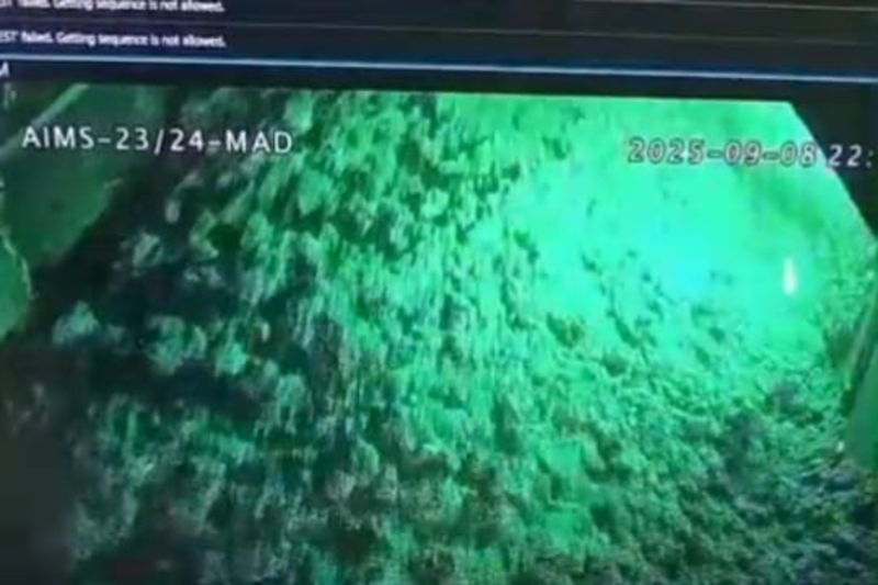 Terjebak 2 Hari, Ini Nama 7 Pekerja Korban Longsor Tambang Freeport