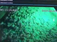 Terjebak 2 Hari, Ini Nama 7 Pekerja Korban Longsor Tambang Freeport