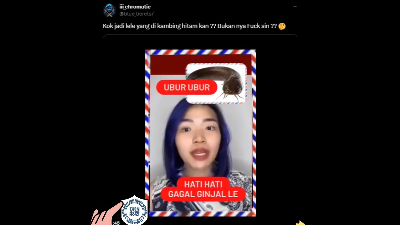 [HOAKS atau FAKTA]: Makan Ikan Lele Bisa Picu Penyakit Gagal Ginjal