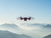 Quadrotors, Drone Canggih untuk Pemandu di Alam Liar