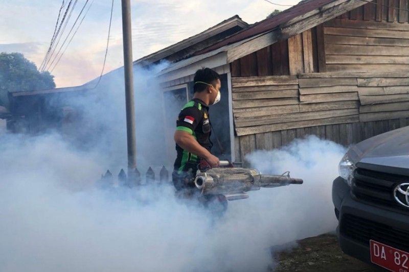 Pemerintah Diminta Optimalkan Layanan Kesehatan Atasi DBD
