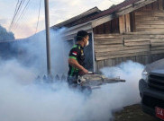 Pemerintah Diminta Optimalkan Layanan Kesehatan Atasi DBD