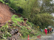 Jalan Utama Puncak Terdampak Longsor Tebing, Alat Berat Dikerahkan Agar Lalu Lintas Segera Lancar