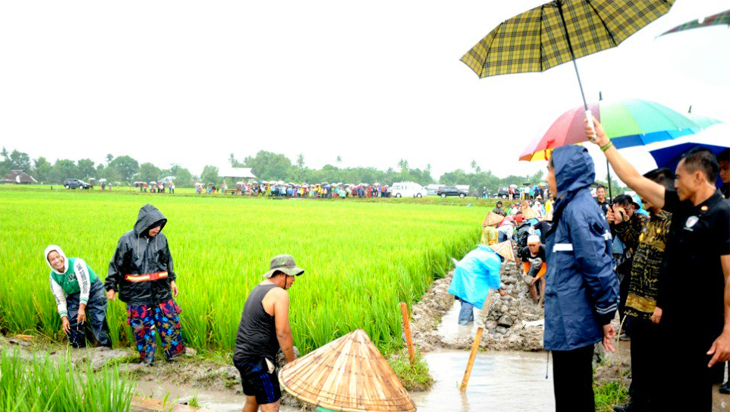 Di Bawah Rintik Hujan, Jokowi Sambangi Proyek Padat Karya di Gowa
