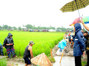 Di Bawah Rintik Hujan, Jokowi Sambangi Proyek Padat Karya di Gowa