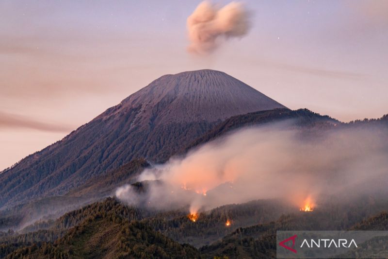 Imbas Ratusan Pendaki Terjebak kebakaran di Semeru, Menhut Tutup 9 Taman Nasional Rawan Karhutla