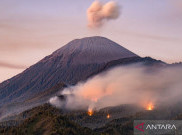 Imbas Ratusan Pendaki Terjebak kebakaran di Semeru, Menhut Tutup 9 Taman Nasional Rawan Karhutla
