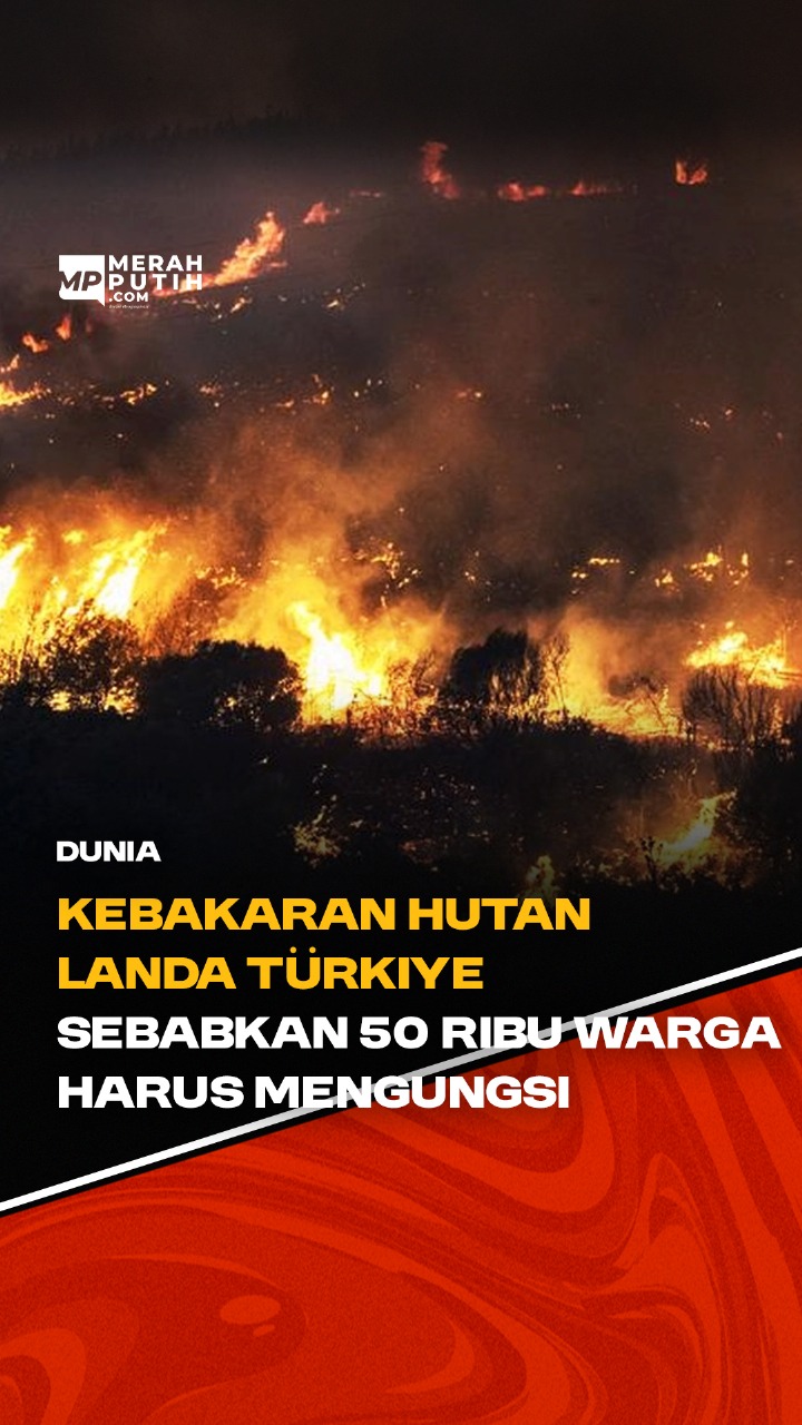 Mengerikan! Kebakaran Hutan Landa Turkiye Sebabkan 50 ribu Warga Harus Mengungsi
