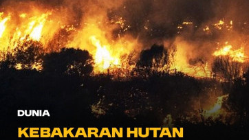 Mengerikan! Kebakaran Hutan Landa Turkiye Sebabkan 50 ribu Warga Harus Mengungsi 