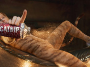 ‘Cats’ Merugi, ‘Jumanji’ dan ‘The Rise of Skywalker’ Pecahkan Rekor Box Office Dunia