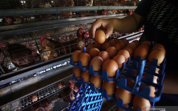 Pemerintah Diminta Kendalikan Harga Bahan Pokok Jelang Pergantian Tahun