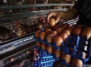 Pemerintah Diminta Kendalikan Harga Bahan Pokok Jelang Pergantian Tahun
