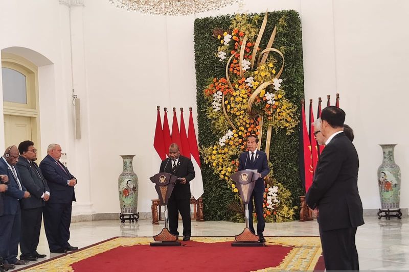 Indonesia Pasok Listrik ke Kota Perbatasan di Papua Nugini