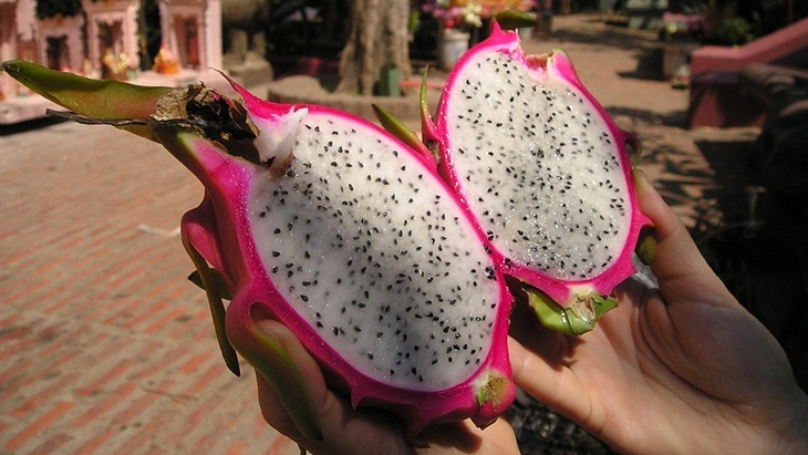 Buah Naga Sahabat Kulit Cantik Awet Muda