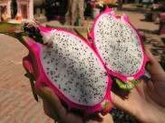 Buah Naga Sahabat Kulit Cantik Awet Muda