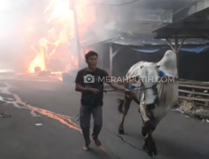 Kebakaran Pasar Kambing. (MP/Kanugraha)
