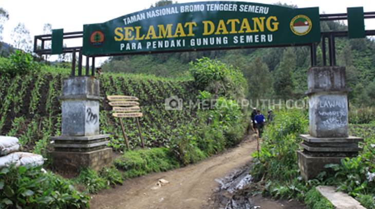 Gerbang pendakian gunung semeru (MP/Angga Yudha P)