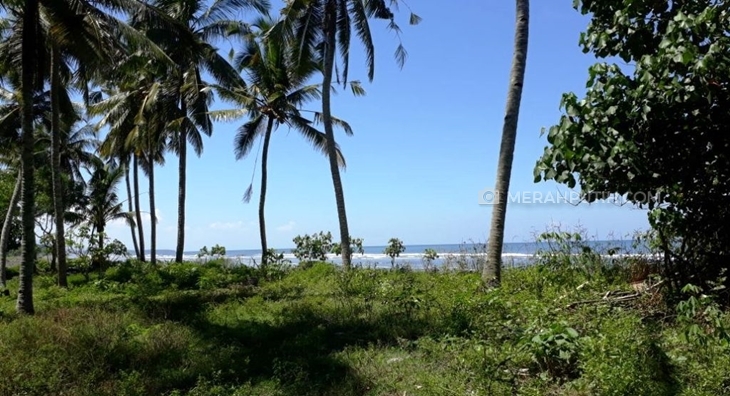 Kawasan Pesisir Yahembang, Akan 'Bersolek' Mengembangkan Wisata dan Hutan Mangrove 
