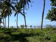 Kawasan Pesisir Yahembang, Akan 'Bersolek' Mengembangkan Wisata dan Hutan Mangrove 
