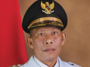 Wartawan Salah Bertanya, Bupati Bulungan Syarwani Dikira Masinton Pasaribu di Bandara YIA