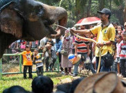 Ragunan Dibuka untuk Warga DKI Saja, Pengunjung tak Boleh Berkerumun Lebih dari 5 Orang
