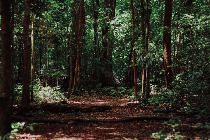 Omnibus Law Meningkatkan Eco-Anxiety