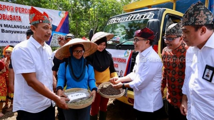 Masa Pandemi, Banyuwangi Ekspor 600 Ton Kopi ke Eropa