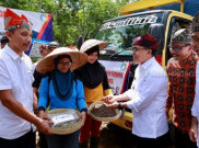Masa Pandemi, Banyuwangi Ekspor 600 Ton Kopi ke Eropa