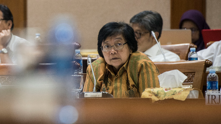 Buaya Berkeliaran di Tanjungpriok, Menteri Siti Nurbaya: Jangan Tembak