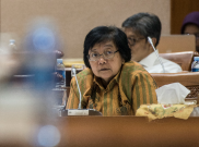Buaya Berkeliaran di Tanjungpriok, Menteri Siti Nurbaya: Jangan Tembak