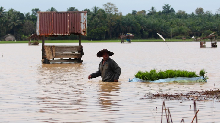 Petani Rugi Besar Akibat Banjir