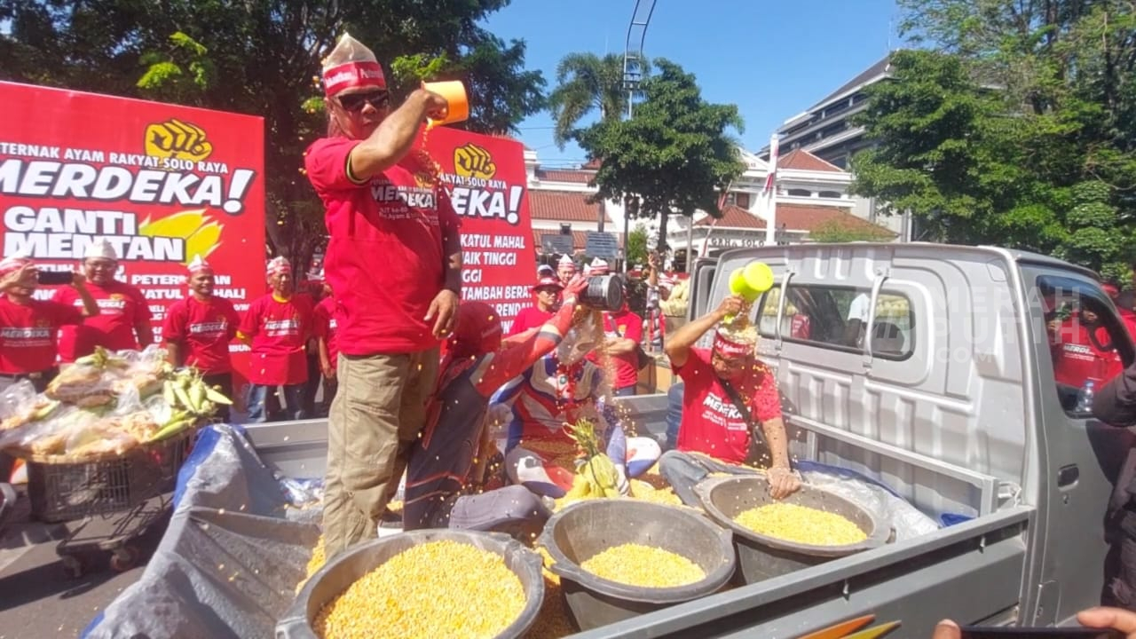 Peternak Ayam Gelar Aksi Mandi Jagung Menuntut Mentan Mundur, Harga Jagung Tembus Rp 7.000