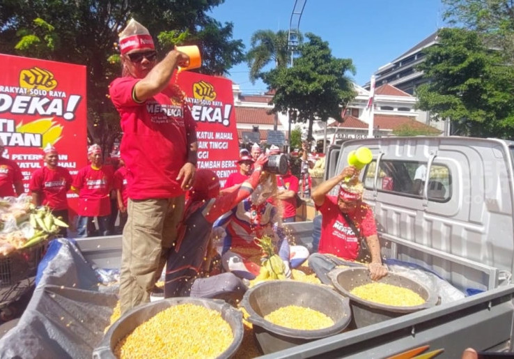 Peternak Ayam Gelar Aksi Mandi Jagung Menuntut Mentan Mundur, Harga Jagung Tembus Rp 7.000